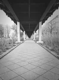 Walkway leading to building