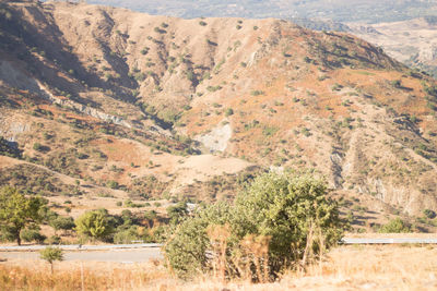 Scenic view of tree mountains in desert