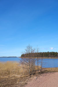 Scenic view of lake against blue sky