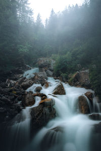 Scenic view of waterfall in forest