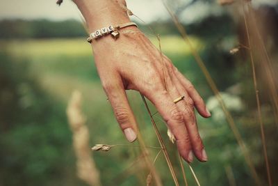 Close-up of woman hand holding wheat in field