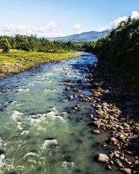 Scenic view of river in forest against sky