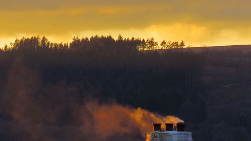 Trees against sky during sunset