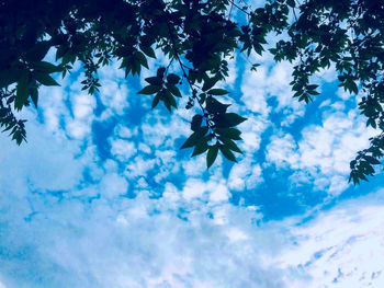 Low angle view of blue cloudy sky