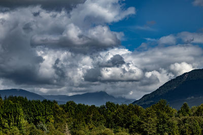 Scenic view of trees and mountains against sky