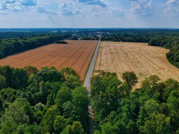 High angle view of road amidst trees against sky