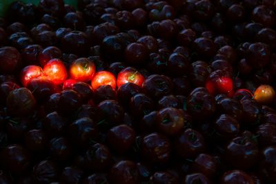 Full frame shot of tomatoes for sale