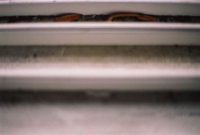 Close up of abstract background