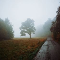 Road passing through field