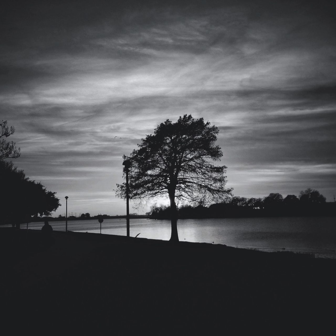 silhouette, tree, sky, tranquility, tranquil scene, water, scenics, beauty in nature, cloud - sky, nature, sea, cloud, sunset, idyllic, branch, lake, cloudy, beach, outdoors, outline