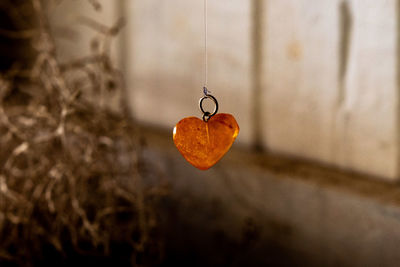 Close-up of amber heart hanging on plant