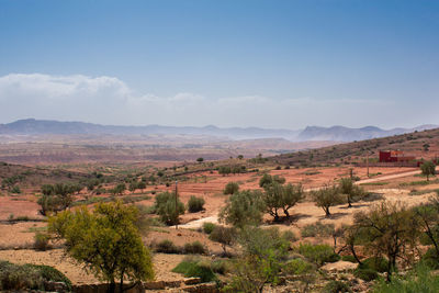 Scenic view of landscape against sky