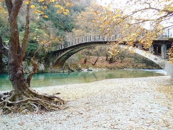 Bridge over canal in park