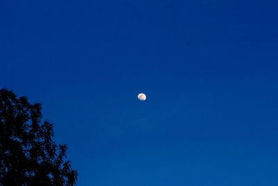 Low angle view of moon in blue sky