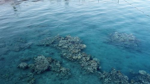 High angle view of rocks in sea