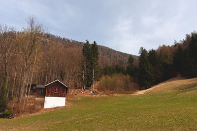 Scenic view of grassy field against sky