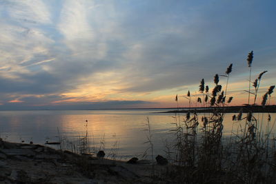 Scenic view of sea at sunset