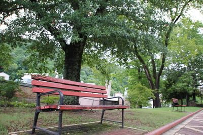 Bench in park