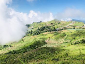 Scenic view of landscape against sky
