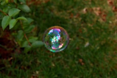 Close-up of bubbles