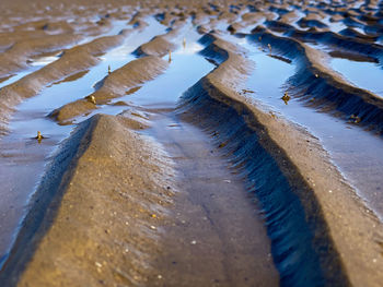 Close-up of frozen water on land