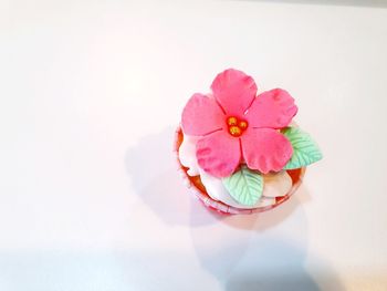 High angle view of pink flower on white table