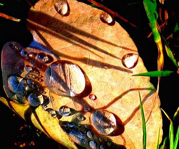 Close-up of bicycle on road