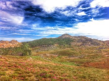 Scenic view of landscape against sky