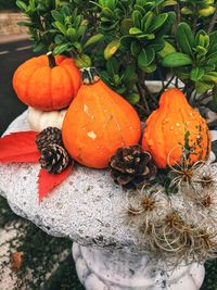 Close-up of orange pumpkins