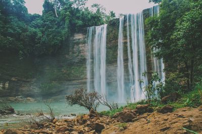 Waterfall in forest