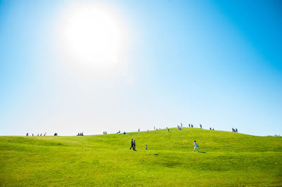 People on field against clear blue sky