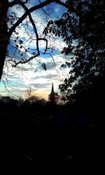 Silhouette of trees at sunset