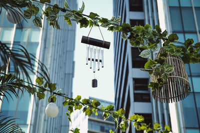 Low angle view of potted plants and wind-chime against building