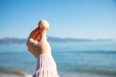 Cropped hand holding seashell at beach