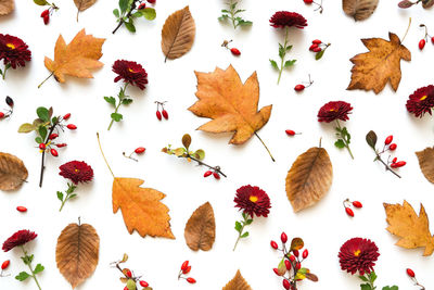 High angle view of autumn leaves on table