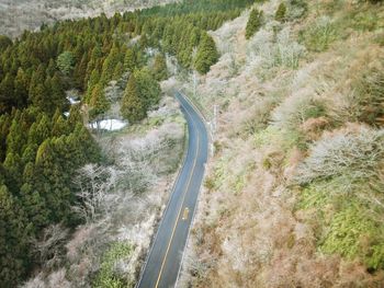 Road to hakone