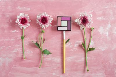 Close-up of pink flowers