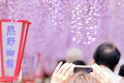 Close-up of hands photographing flowers