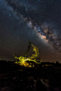 Scenic view of tree against sky at night