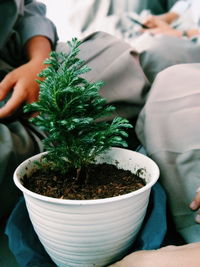 Close-up of hand holding potted plant