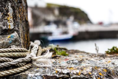 Close-up of rope tied to wood