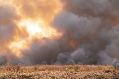 Low angle view of fire on field against cloudy sky