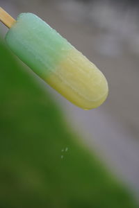 Close-up of bananas