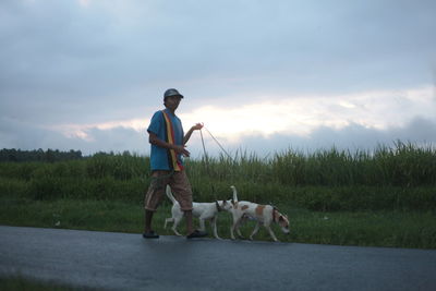 Full length of man with dogs walking on road against sky