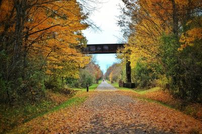 Road amidst trees during autumn