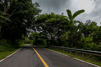 Countryside road passing through the lush green tropical rain forest mountain landscape