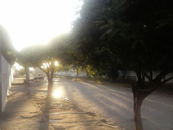 Cars parked on road