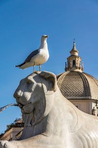 Low angle view of seagull perching on statue against sky