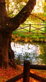 Scenic view of river with trees in background