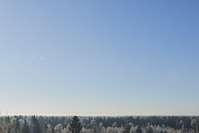 Scenic view of field against clear blue sky